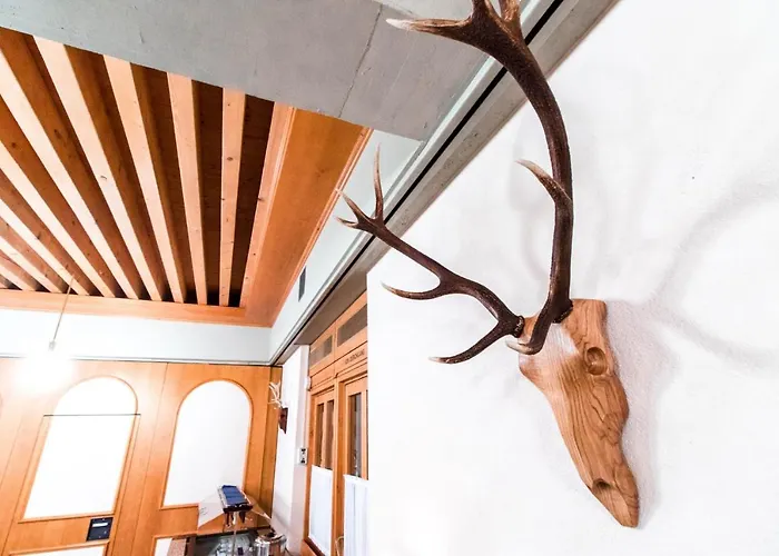 Hotel Tannenhof - Only Bed & Breakfast